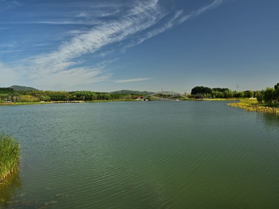 龍泉湖湿地