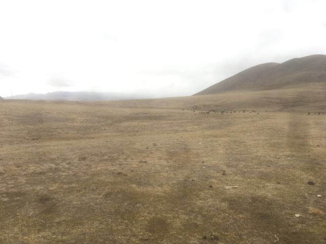 Lhagang Grassland