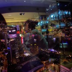Oriental Pearl Sky Revolving Restaurant User Photo