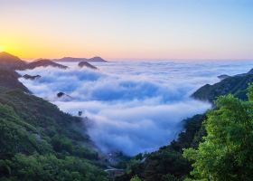 山東航空福州到濟南