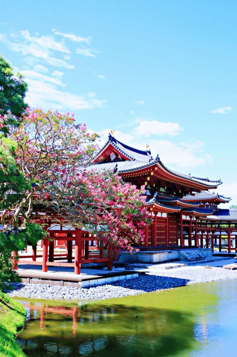 Byodo In Photos Photos Of Uji Attractions Trip Moments
