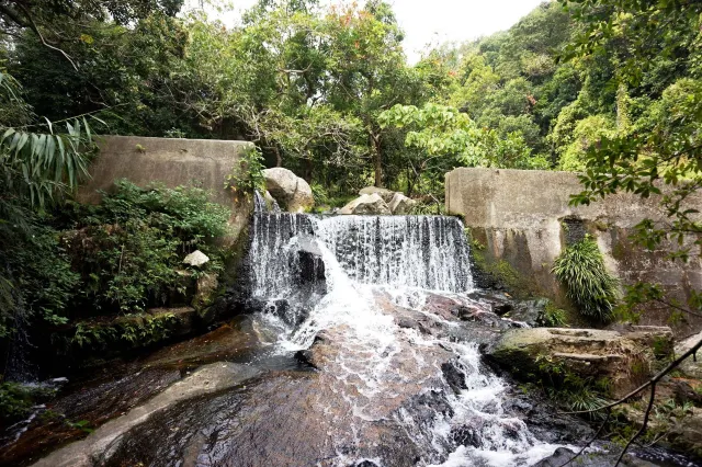 【瀑布健行】盤點六大香港瀑布 梧桐寨瀑布 瀑布灣公園 新娘潭瀑布 夏日消暑透心涼