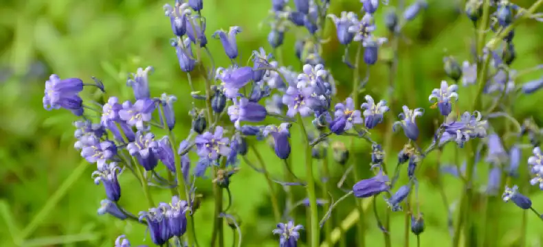 Hotels With Wi-Fi in County Carlow, Ireland