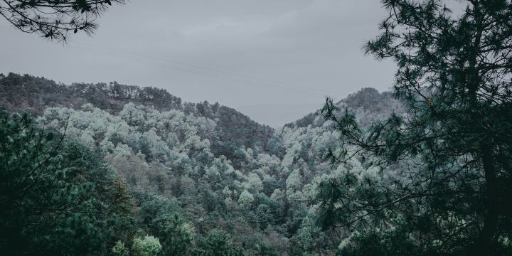 Hushan Forest Park