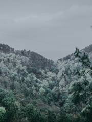 Hushan Forest Park