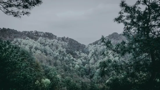 Hushan Forest Park