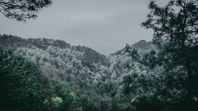 Лушаньский лесный парк