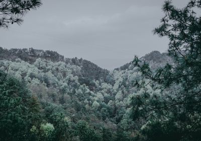 Hushan Forest Park