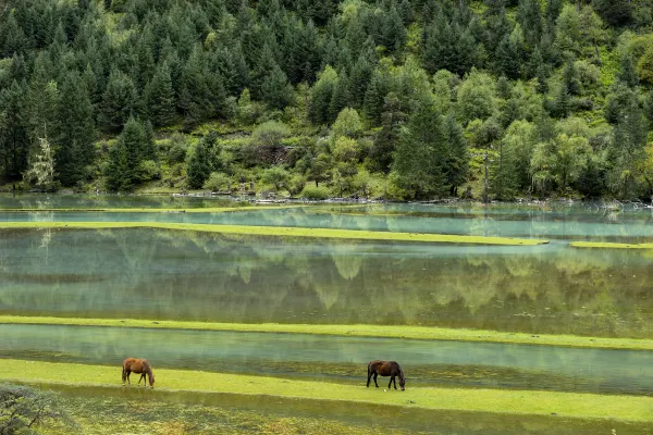 Malaysia Airlines to Kangding