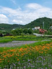 白市驛登山步道