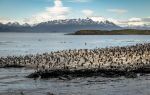 Beagle Channel