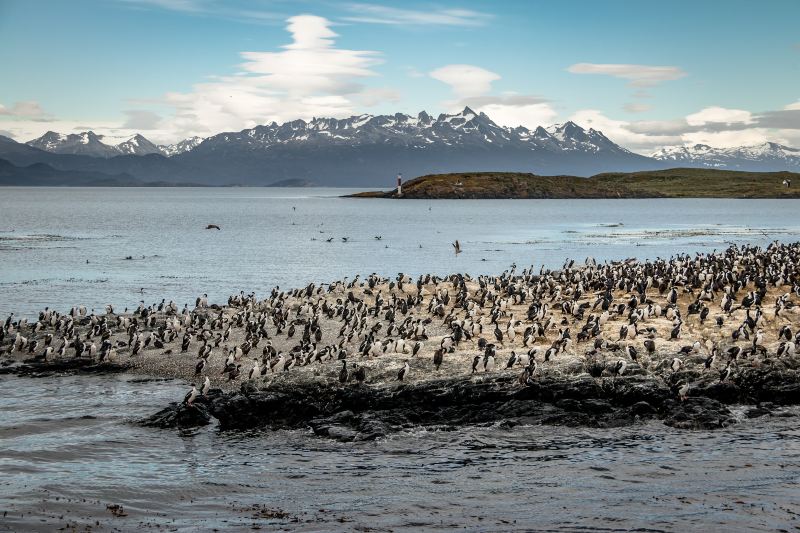 Beagle Channel