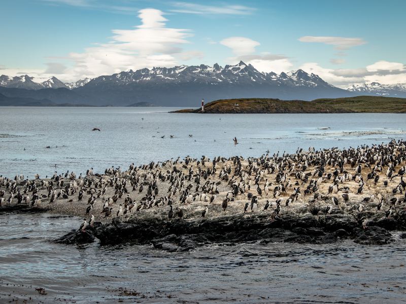 Beagle Channel