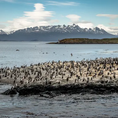 tiket pesawat ke El Calafate Ryanair