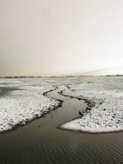 RSPB Marshside