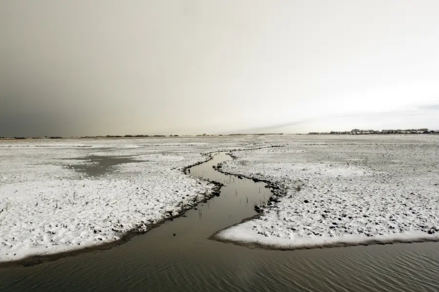 RSPB Marshside