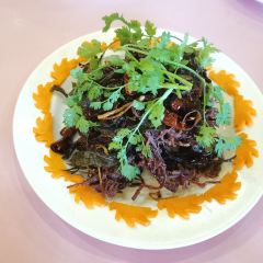 莎灣椰德納張用戶圖片