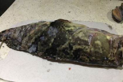 霞湧市場海鮮擺賣市場