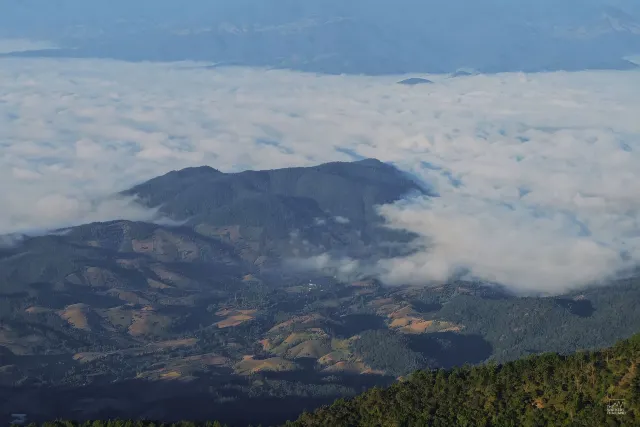 ทะเลหมอก กิ่วแม่ปาน