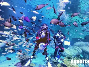 Aquaria Phuket