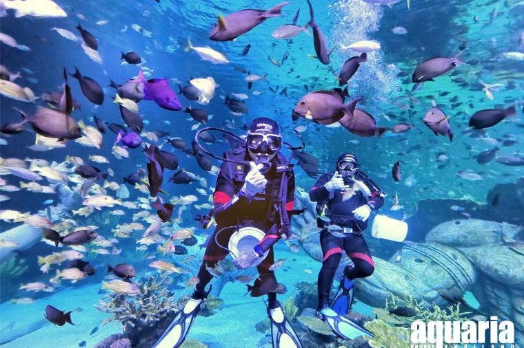 Aquaria Phuket