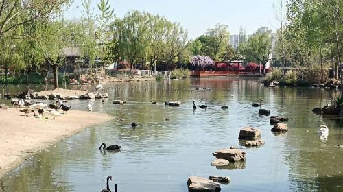 Huai'an Zoo