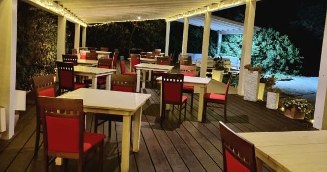 Carduus c/o Is Benas Country Lodge