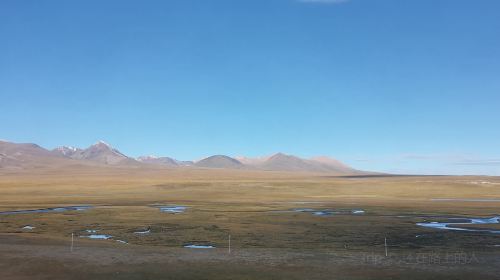 Qiangtang Grassland