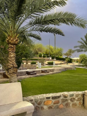 Prince Mohammed bin Abdul Aziz Park