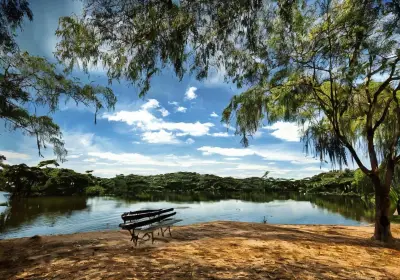 Latest travel itineraries for Parque Lago Municipal Recanto das Araras in  December (updated in 2023), Parque Lago Municipal Recanto das Araras  reviews, Parque Lago Municipal Recanto das Araras address and opening hours