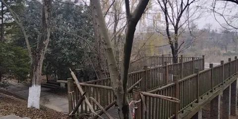 濕地公園(淮口巴德小鎮)