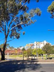 Park Central Duck Pond