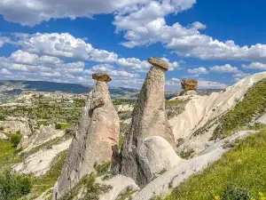 Three Beauties