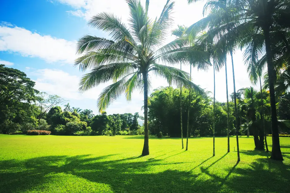 4_Xishuangbanna Tropical Botanical Garden