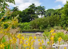 ダブリン動物園