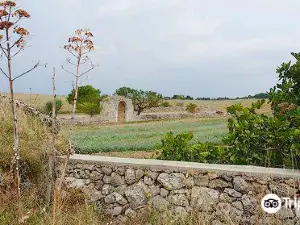 Parc national de l'Alta Murgia