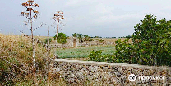 Parc national de l'Alta Murgia