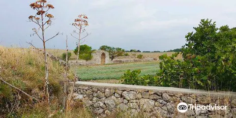 阿爾塔穆爾賈國家公園