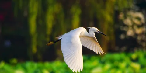 中國長樂海蚌公園