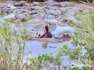 Peacemakers Expedition & Safari