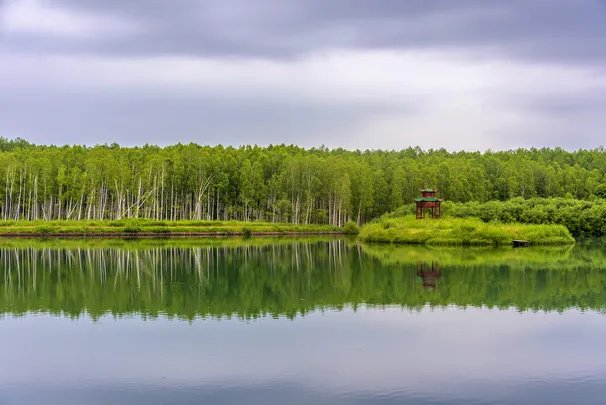 5_露水河國家森林公園