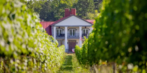 Rosemont of Virginia Winery