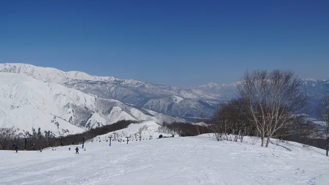 Skiing in Nagano