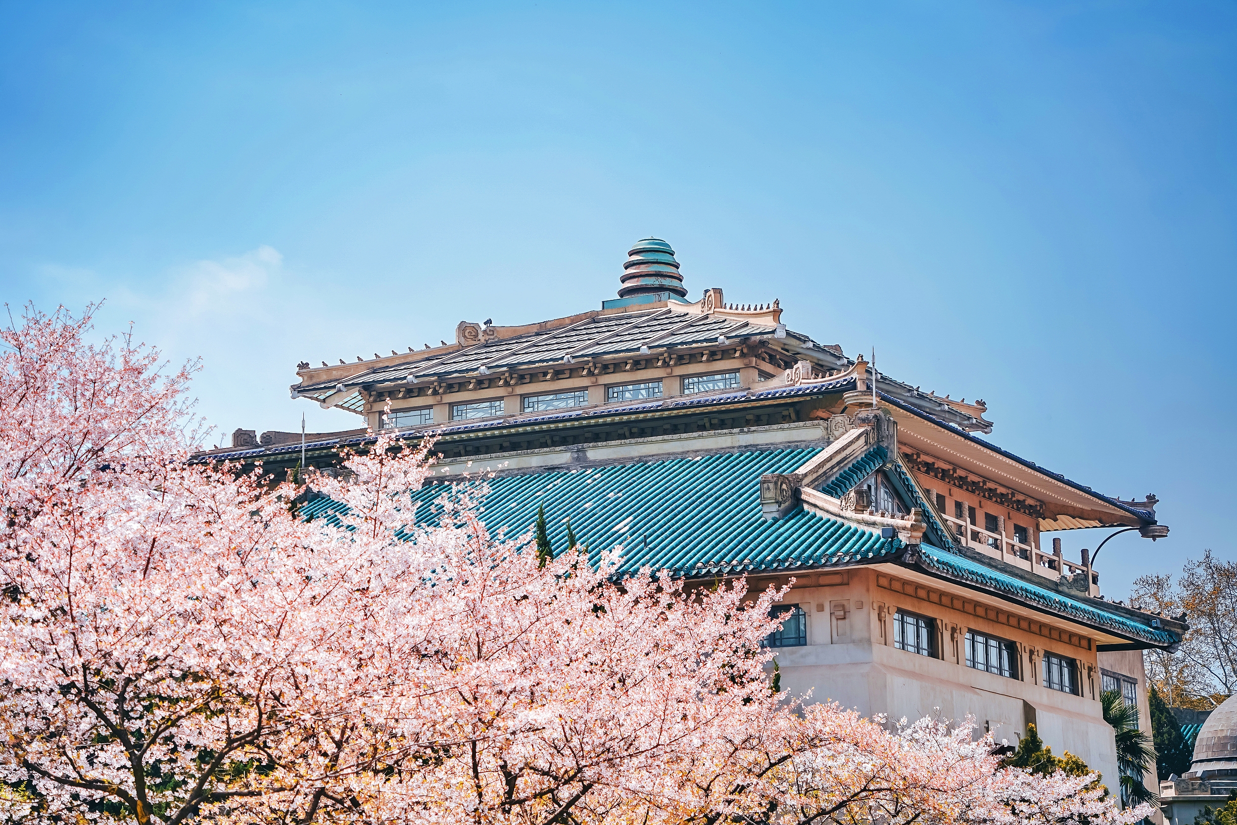 武漢大學