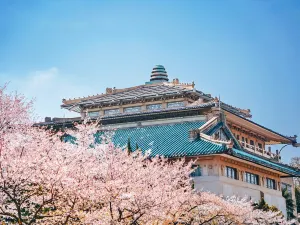 우한대학