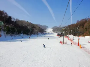 알펜시아 리조트