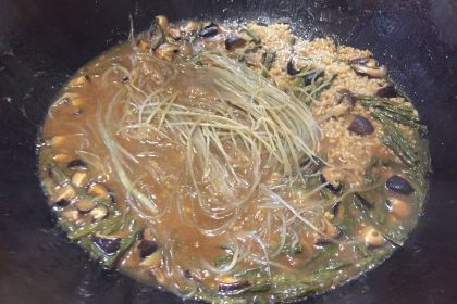 MIAO ZHUANG DE GUO JI