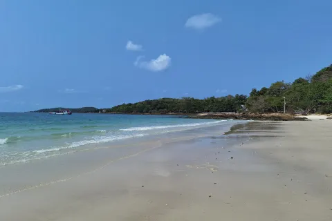 핫 사이 깨우