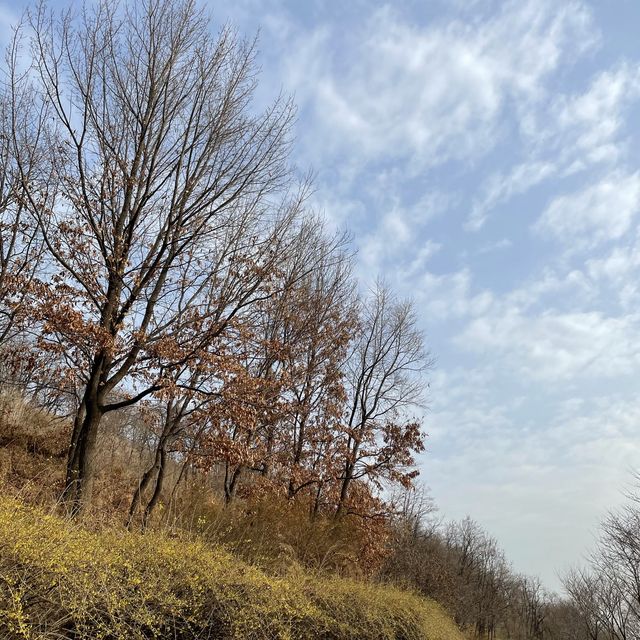 난지한강공원