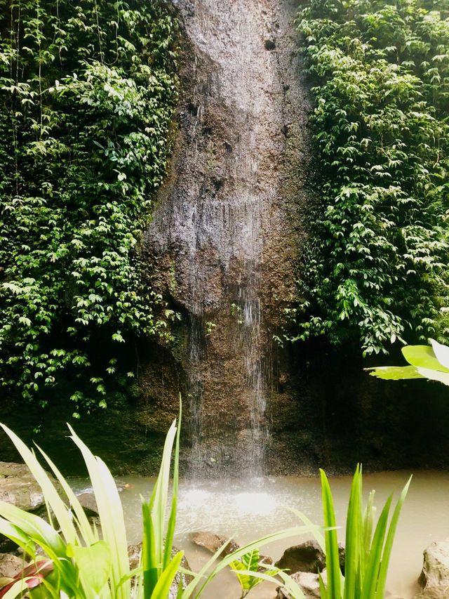 Bali’s waterfall to be hunt by